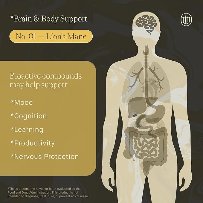 Lions Mane Extract - Double Extracted Fruitbody Mushroom Tincture Natural Support for Mental Clarity Brain Function Memory Cell Regeneration Creativity &amp Mood (240 Servings)