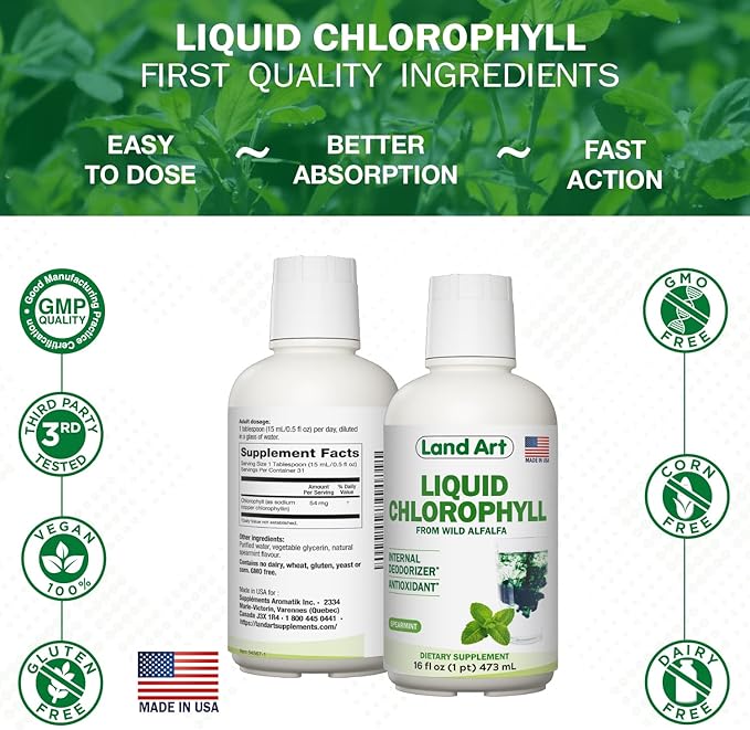 Land Art - Liquid Chlorophyll Mint – Cold-Extracted from Wild Non-GMO Alfalfa – Natural Clorofila Liquida – Antioxidant - Detox Supplement – Boost Energy – Alkalizing &amp Body Odor Neutralizer – 16