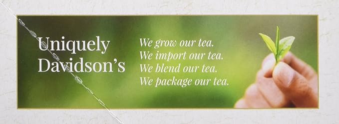 Davidson's Organics Ginger Chai 100-count Unwrapped Tea Bags