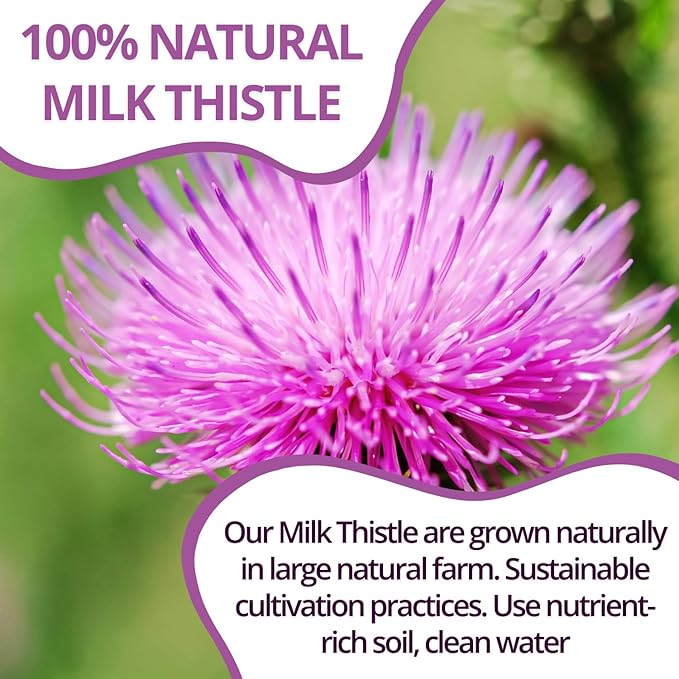 VIDA FARM Milk Thistle Tea Bags - 125 Count 100% Natural Seeds and Leaves Dried Herbal Tea Sugar Free Caffeine Free