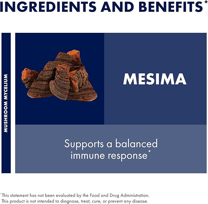 Host Defense Mesima Capsules - Herbal Antioxidant Activity &amp Immune System Support Supplement - Mushroom Supplement to Support Balanced Immune Response - 60 Capsules (30 Servings)*