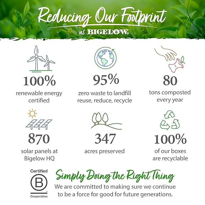Bigelow Tea Cozy Chamomile Herbal Tea Caffeine Free Tea with Chamomile Flowers 20 Count Box (Pack of 6) 120 Total Tea Bags