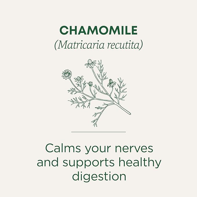 Traditional Medicinals Tea Organic Chamomile Calming Calms Your Nerves Supports Healthy Digestion 96 Tea Bags (6 Pack)