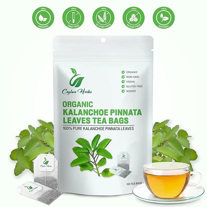 Kalanchoe Pinnata Leaves Tea Bags – 100% Pure Dried Leaves Herbal Tea Bags for Daily Brewing