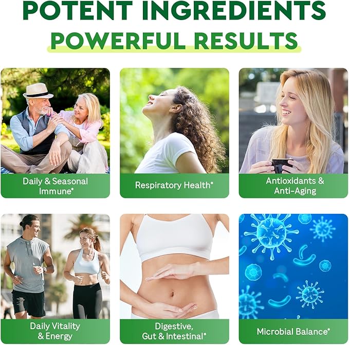 Oil Of Oregano with Black Seed Oil - 20000mg Oregano | 17 in 1 Herbal Blend with Probiotic 20x Strength Carvacrol &amp Thymoquinone | For Immune Antioxidant &amp Digestive 120 Liquid Phyto-Capsul