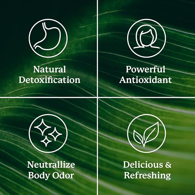 Nature's Sunshine Chlorophyll Stick Packs: Supercharge Your Detox and Boost Gut Health in Convenient Delicious Stick Packs (Crisp Apple)
