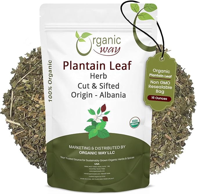 Organic Way Plantain Leaf Cut and Sifted - Herbal Tea | European Wild-Harvest | Organic &amp Kosher Certified | Non GMO &amp USDA Certified - Origin Albania (16 Ounce Pack)