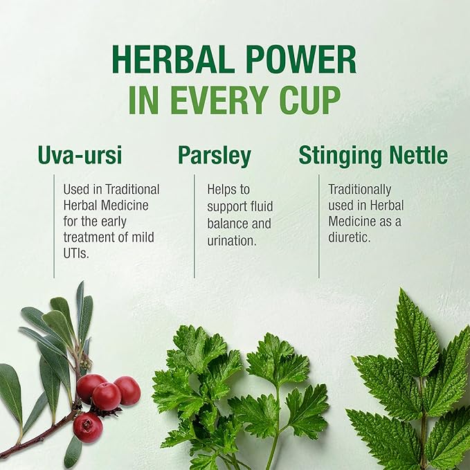Kidney Cleanse &amp Function Tea™ by Bell Lifestyle Products | A special Herbal Tea formulated to help support Kidney Health for Men and Women - 1 Pack / 4.2 oz