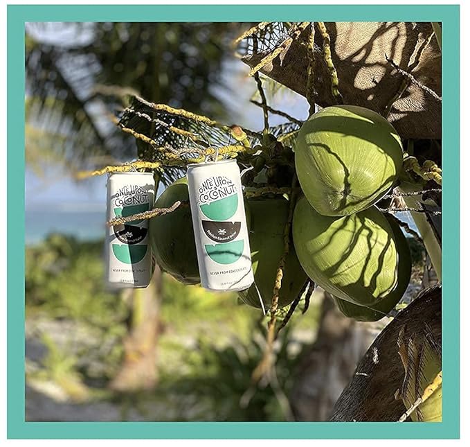 Once Upon a Coconut - 100% Pure &amp Natural Coconut Water (10.8 Fl Oz Cans) | No Sugar Added - Electrolytes - No Pulp - Non-GMO - Gluten Free - Pack of 6 Cans