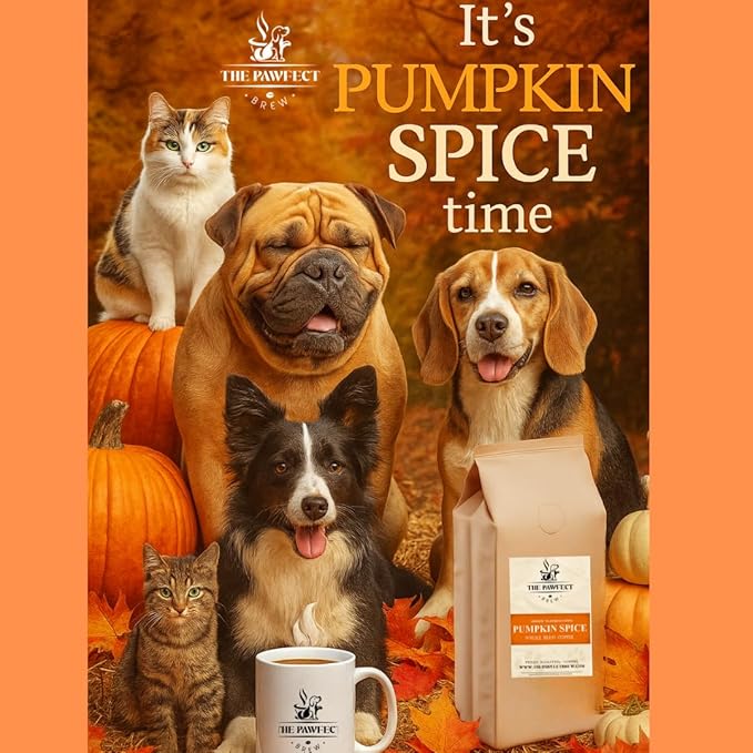 Dog Lover’s Coffee – Pumpkin Spice by The Pawfect Brew | Medium Roast Ground Coffee 1 lb Bag | Warm &amp Spiced Seasonal Flavor | 25% Profits Donated to Animal Rescue