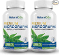 Natural Cure Labs Premium Andrographis Paniculata Extract 1200mg (100mg Andrographolides) 120 Capsules Non-GMO Vegan Gluten Free