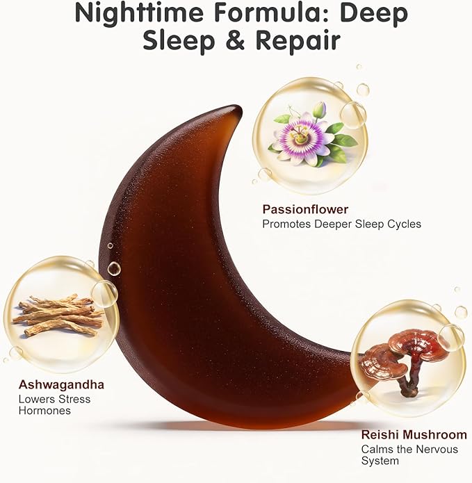 Mushroom Gummies Supplement for Sleep and Energy with Ashwagandha &amp Lion's Mane Day &amp Night RoutineElderberry Flavor No Sugar (30-Day Supply)