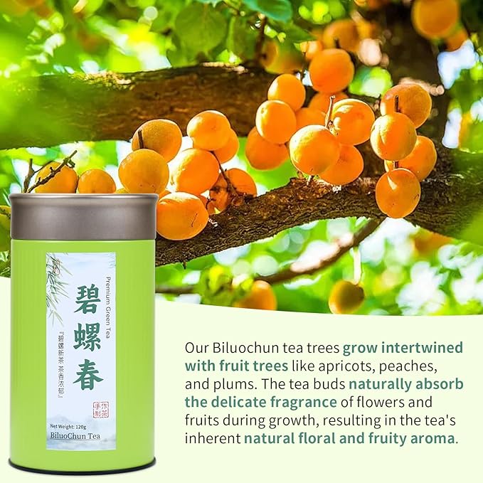 CHADUO Bi Luo Chun Tea Chinese Green Tea Loose Leaf New Tea Biluochun Green Tea From Dongting Mountain Supreme Grade Pi Luo Chun Fresh Flower &amp Fruit Notes 120g/4.23oz 碧螺春 绿茶 中国绿茶