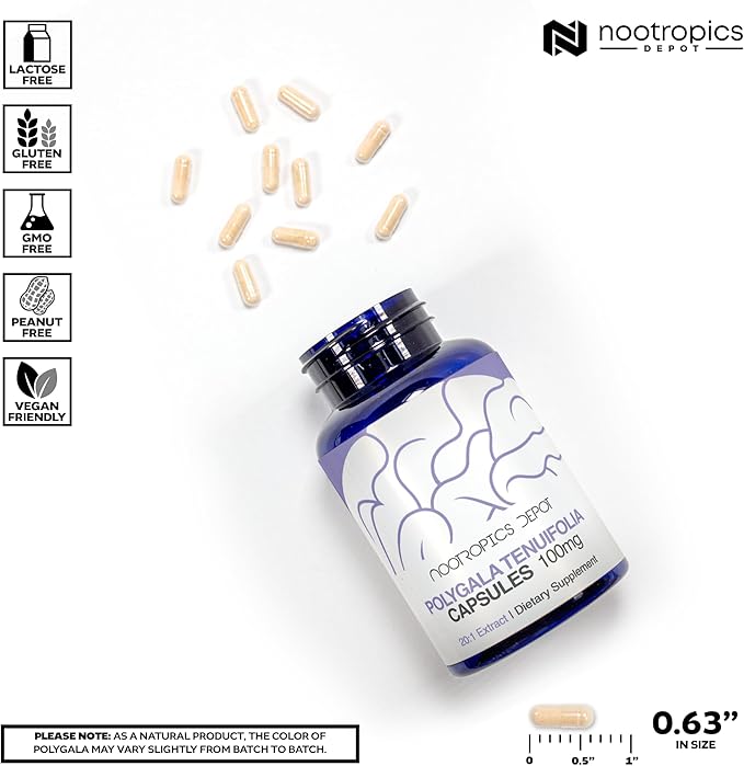 Nootropics Depot Polygala tenuifolia Capsules | 100mg | 180 Count | 20:1 Extract | Yuan Zhi | Promotes Cognitive Function Learning and Memory | Supports Healthy Stress Levels | Adaptogen Supplement