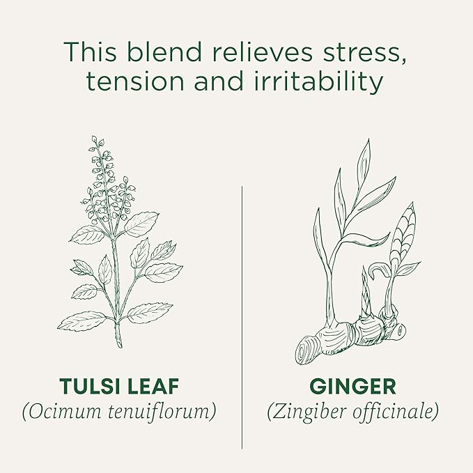 Traditional Medicinals Tea Organic Tulsi &amp Ginger Relieves Stress Tension &amp Irritability 96 Tea Bags (6 Pack)