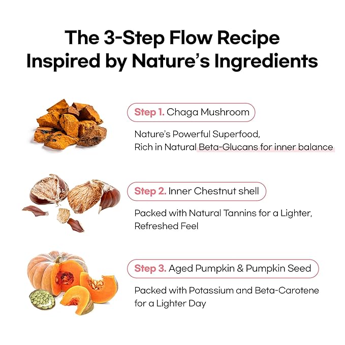 Odada Super Lympho Herbal Tea Natural Herbal Detox Blend with Chaga Pumpkin Chestnut Caffeine-Free &amp Sugar-Free Supports Daily Body Balance &amp Light Hydration 24 Tea Bags