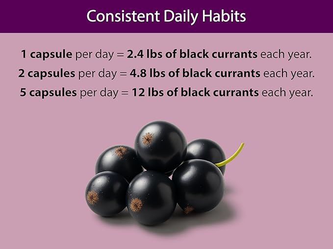 KOYAH - Organic Black Currant Capsules - Freeze-Dried Whole-Berry 600 mg Vegan Gluten-Free Non-GMO. Antioxidant Support. 60 Capsules