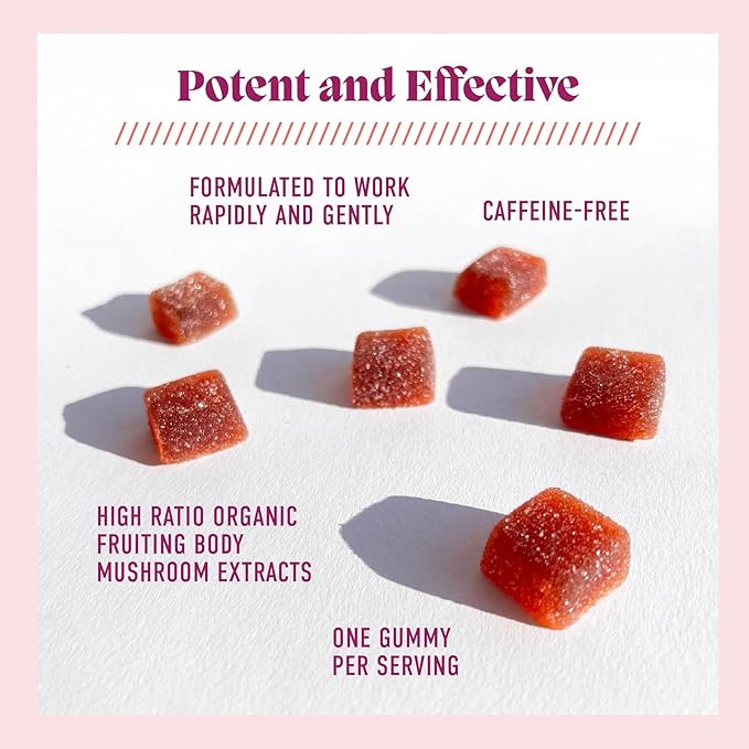 Microjoy Motivate Gummies – Energy Stamina &amp Brain Support with Cordyceps Mushrooms Maca &amp Vitamin B12 – Vegan Gluten-Free Non-GMO – Berry Flavor – 30 Servings