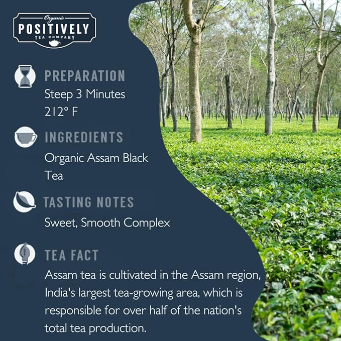 Organic Positively Tea Company Assam TGFOP Black Tea Loose Leaf 16 Ounce