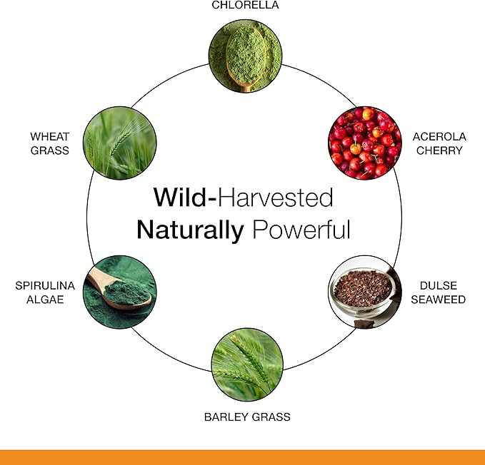 Dr. Schulze's SuperFood 100 - Everyday Superfood Supplement to Support Overall Wellness - Mutivitamin Support for Cellular Nutrition &amp Energy - Clean Ingredients - Gluten-Free &amp Dairy-Free - 9