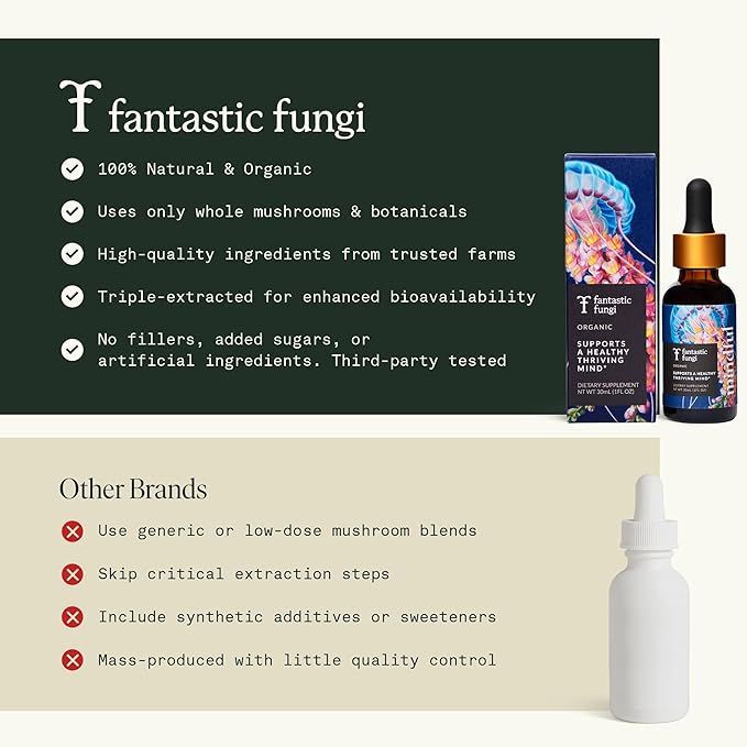 Fantastic Fungi Organic Mushroom Tincture - Mindful Elixir with Lions Mane Mushroom Extract Bacopa &amp Ginkgo Leaf - Drops for Focus Clarity &amp Memory Support - Formulated in USA 30 Servings