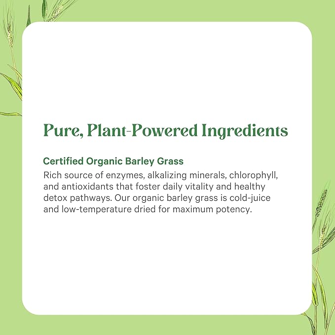 PURE SYNERGY Organic Barley Grass Juice Powder | Chlorophyll-Rich Greens Powder | Organic Cold-Pressed Barley Grass Juice | for Energy Detox and Digestion Support (5.3 oz.)