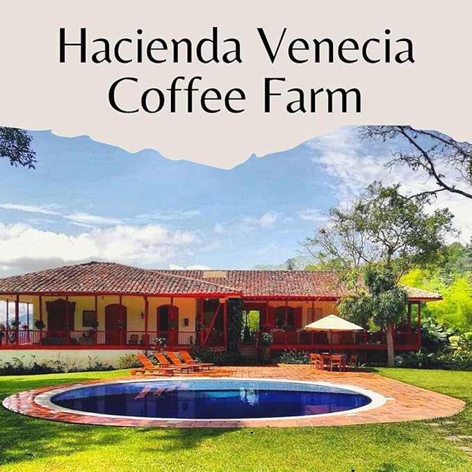 Hacienda Venecia Whole Bean Coffee Medium Roast 100% Colombian Arabica Single Origin from Manizales - 17.6 oz Bag