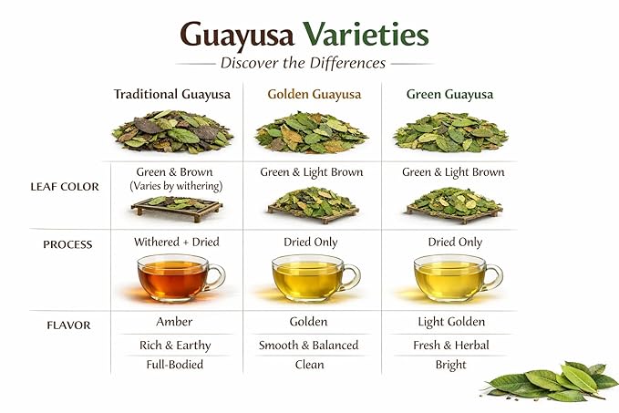 GUAYUSA TEA BAGS by PACHA | Naturally High in Antioxidants L-Theanine &amp Theobromine | Sustained Energy Herbal Tea | Alternative to Yerba Mate Coffee Black and Green Tea. (50 Count Golden Guayu