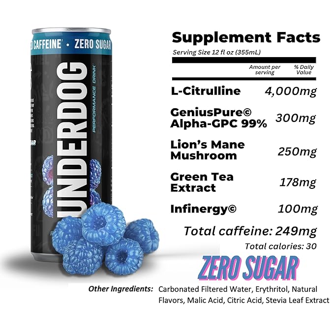 Underdog Performance Energy Drink Blue Raspberry Nootropics Green Tea Extract Citrulline Clean Sugar Free Fast &amp Slow Release 249mg Caffeine per Serving No Artificial Additives 12 Pack