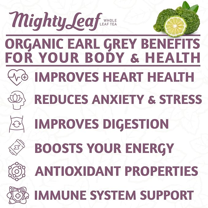 Mighty Leaf Organic Earl Grey Tea – 100 Count Whole Leaf Tea Pouches – Black Tea with Bergamot – Premium Caffeinated Tea Bags – USDA Organic Certified