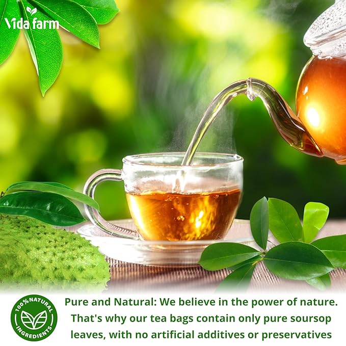 VIDA FARM 100 Soursop Tea Bags 100% Natural Pure Soursop Graviola Leaves Tea Bags Pleasant Taste Natural Flavor Caffeine Free Guanabana Leaves Guyabano Tea