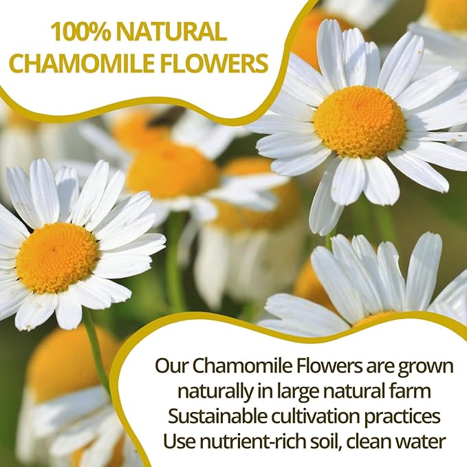 VIDA FARM 100 Chamomile Tea Bags Natural Chamomile Flowers Tea Bags Dried Herbal Flowers Sugar Free Caffeine Free Gluten Free