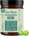 Sea Moss Gummies 16-in-1 with Bladderwrack &amp Burdock Root - Organic Irish Sea Moss Supplement for Immune Support Digestion Energy - Vegan Non-GMO 30 Chewable Gummies