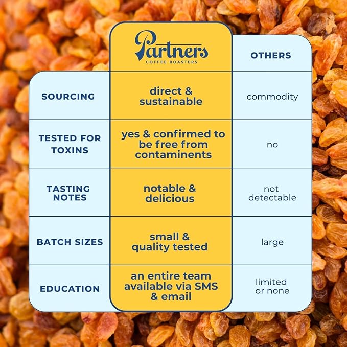 PARTNERS COFFEE ROASTERS - Whole Bean Coffee (Ghost Town - Decaf Medium Roast) 12oz - Decaf Coffee Mountain Water - Whole Coffee Beans - Lab Tested for Mycotoxins &amp Heavy Metals - Hand Roasted i