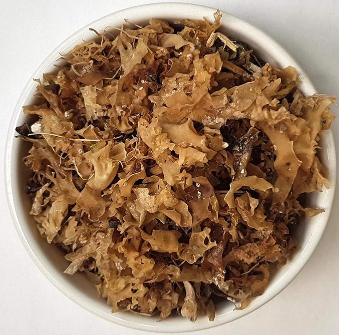 Herba Organica - Irish Moss - Chondrus Crispus L - Herbal Tea (50g)