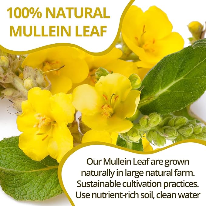VIDA FARM Mullein Leaf Tea Bags 125 Tea Bags 100% Natural Mullein Leaves Tea Dried Herbal Tea Bags No Additives Caffeine Free Sugar Free
