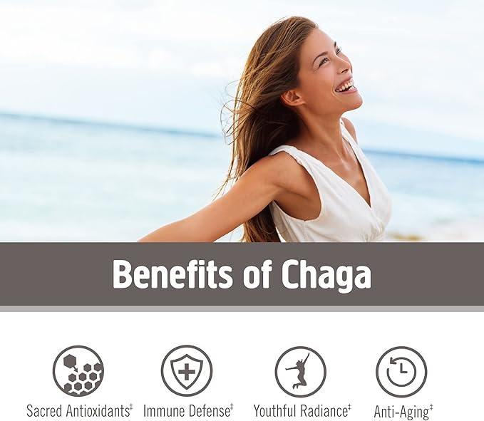 OM MUSHROOM SUPERFOOD Chaga Organic Mushroom Powder 7.05 Ounce Pouch 100 Servings US Grown Sacred Antioxidants &amp Immune Support Superfood Mushroom Supplement