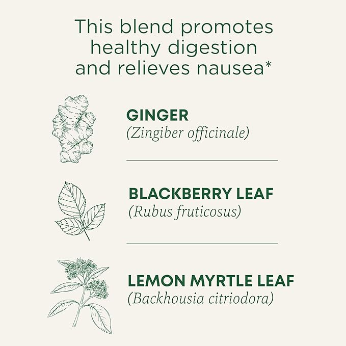 Traditional Medicinals Tea Organic Ginger Aid Promotes Healthy Digestion Kosher Non-GMO Caffeine-Free Compostable - 96 Tea Bags (6 Pack)