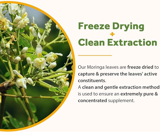 Doctor's Recipes Moringa 11000 mg Strength 90 Caps and Multi Collagen Peptides 90Caps
