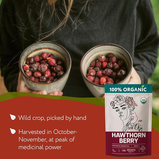 Organic Hawthorn Berry Tea (16oz.) 2 PACK - All Natural Pure Hawthorne Berries - Bulk Herbal Tea for Healthy Blood Pressure Heart Circulation