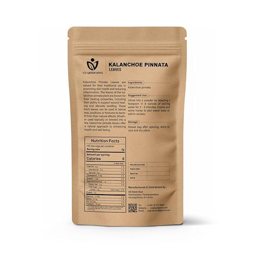200 Kalanchoe Pinnata Leaves - 100% Pure Organic Dried Leaves for Teas Smoothies