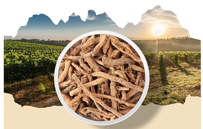 Organic Natural Pure Korean Polygala Tenuifolia Root (Polygala RadixSenega Root) Dried Bulk Herbs -3.52 Ounce (100g)