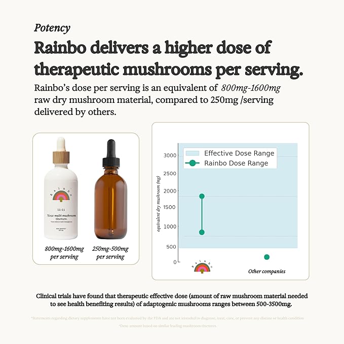 Rainbo - Lion's Mane Mushroom Tincture - Alcohol Free - Dual Extract Mushroom Supplement - Brain Support Focus Memory Liquid Lion's Mane Supplement Vegan Non-GMO 3.4 fl oz.