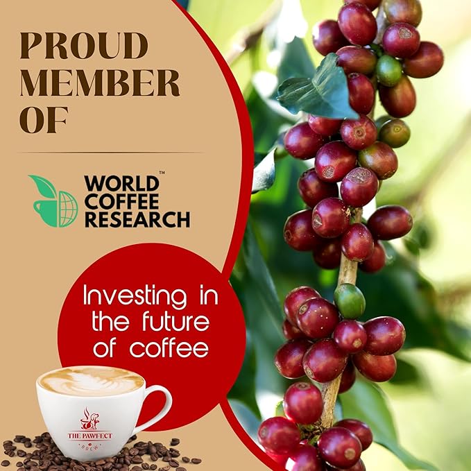 Dog Lovers Coffee – Pawfect Espresso Blend by The Pawfect Brew | Dark Roast Ground Coffee 12 oz | Roasted to Order | 25% Profits Donated to Animal Rescue