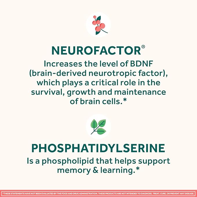 NEURIVA Original Brain Supplement for Memory Focus &amp Concentration + Learning &amp Accuracy with Clinically Tested Nootropics Phosphatidylserine and Neurofactor Caffeine Free 30 Capsules (2 Pa