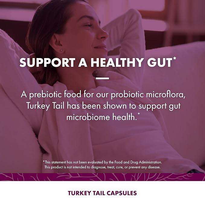 Host Defense Turkey Tail Capsules 240 ct (Pack of Two 120 ct Units)