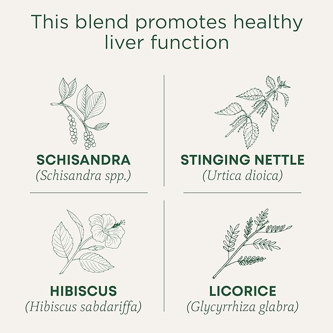 Traditional Medicinals Tea Organic Everyday Detox Schisandra Berry - Supports Healthy Liver Function Detox - Kosher Non-GMO Caffeine-Free - 96 Tea Bags (6 Pack)