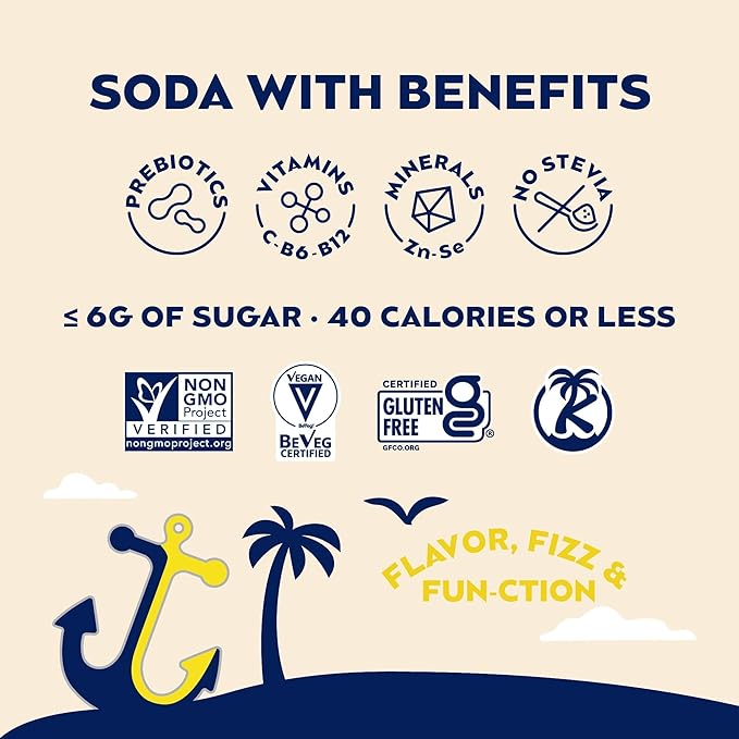 SunSip Prebiotic Soda by Health-Ade Better-for-You Soda Swap Beverage with Vitamins &amp Minerals Naturally Sweetened with 6g of Sugar Dr. Bubbles 11.5 oz (12 Pack)