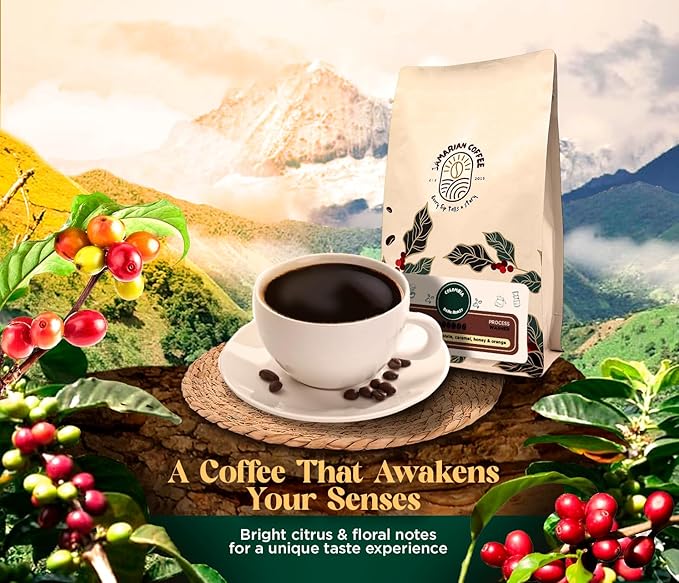 Samarian Coffee Dark Roast – Colombian Single-Origin Arabica – Specialty Ground Coffee with Citrus &amp Floral Notes – Smooth &amp Aromatic – For Pour Over French Press Chemex V60 – 12oz Bag