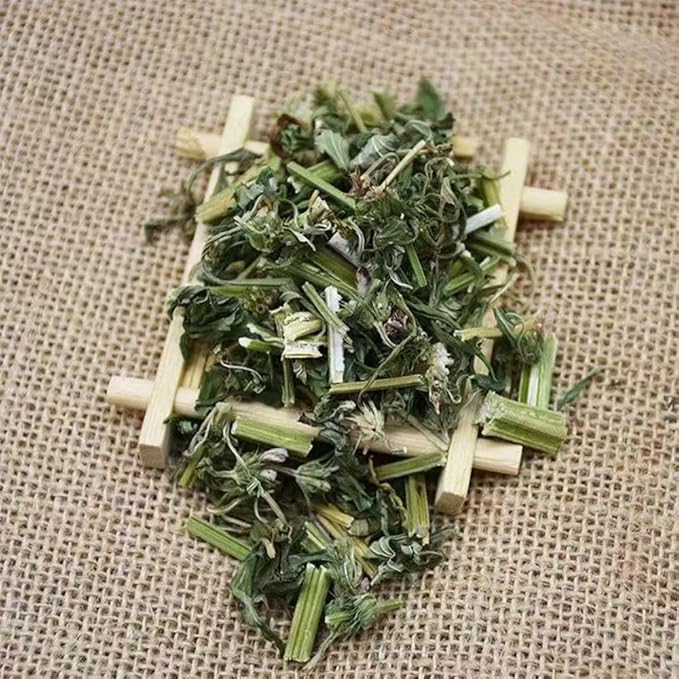 President Brand Motherwort Herb 1lb New Packaging Motherwort Herb Yi Mu Cao 16oz 益母草